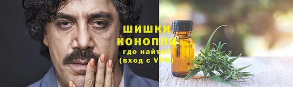 прущие грибы Богородск