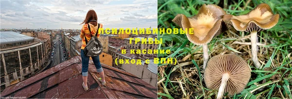 мяу мяу мука Бородино